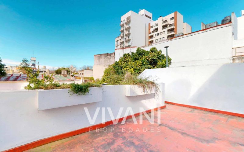 1 Terraza (1)